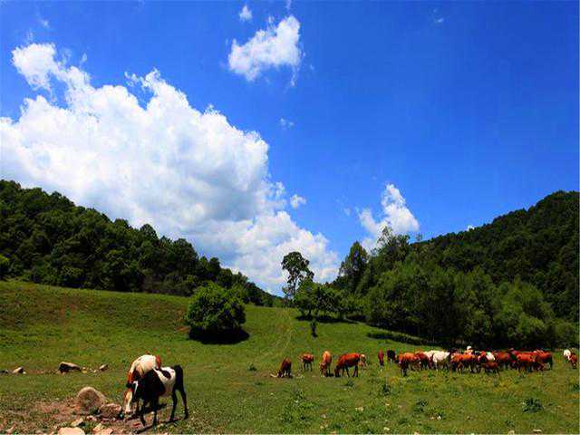 上海代生包男孩-上海供卵供卵代孕电话,供卵代孕婴儿精子和卵子会搞错吗?-上