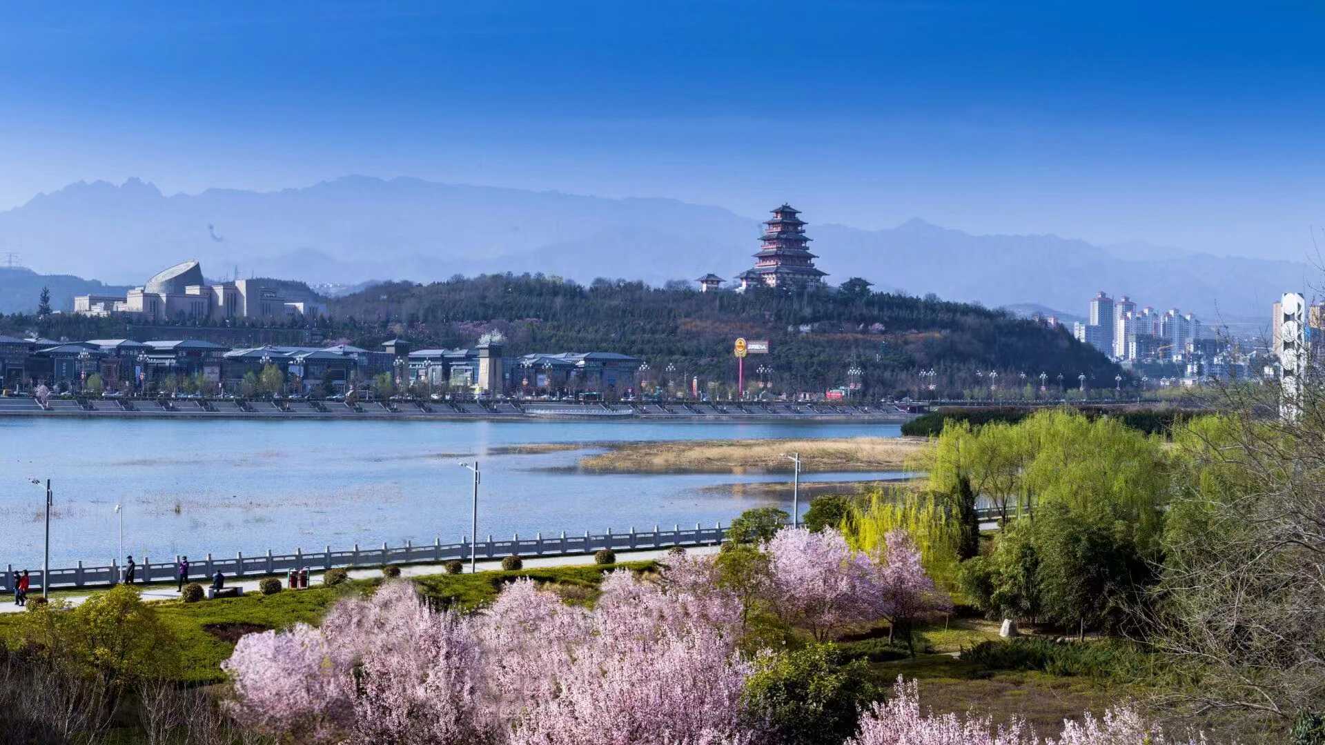 上海代助孕花费&上海供卵生男孩,女性39岁只有一个基础卵泡能做供卵代孕吗？