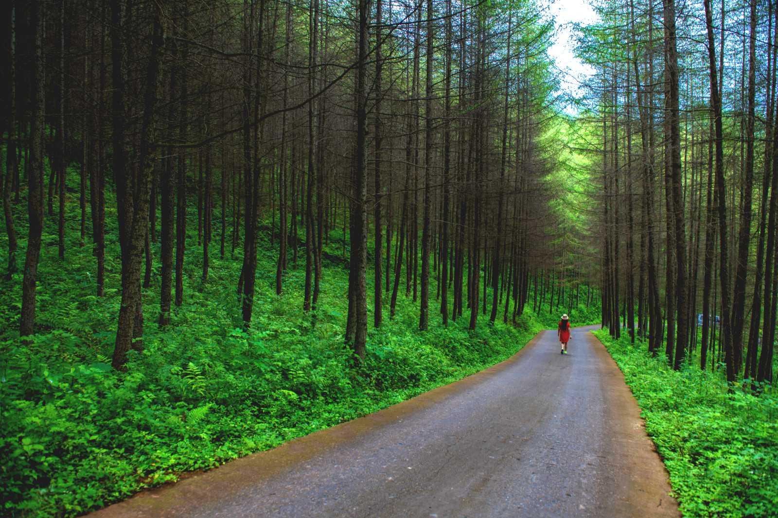 上海供卵代孕代生群,上海哪家医院做供卵代孕婴最好？怎样选择靠谱医院？_供
